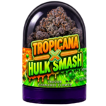 achat thca france - Tropicana Hulk Smash