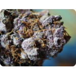 achat thca france - Tropicana x Hulk smash thca