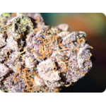 achat thca france - Tropicana X hulk smash zoom trichomes