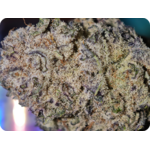 Blue nerds thca flower