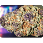 thca france - Black mapple 22 zoom