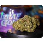 gelato 41 thca