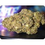 gelato 41 thca zoom trichomes