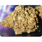 Super lemon haze THCA CBD