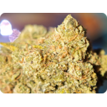 Super lemon haze THC CBD zoom trichomes