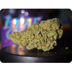 zoap x malabar thca france
