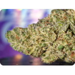 zoap x malabar zoom thca cbd
