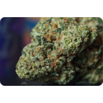 zoom amnesia thca cbd