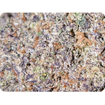 thca france leaf gold - rainbow runtz shop thca  trichomes