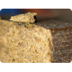 hash thca achat thca france hash lambo usa