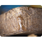 achat thca france hash lambo usa
