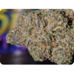 trichomes thca monney bag runtz thca france leaf gold