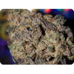 zoom Monney bag runtz thca leaf gold france