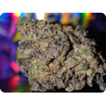 full trichomes Monney bag runtz thca leaf gold france