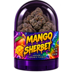 MANGO SHERBET THCA FRANCE