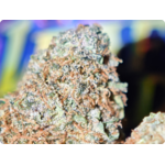 mango sherbet thca france zoom