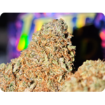 acheter du thca en france