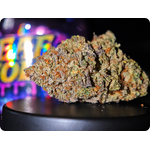 gelato 41 thca