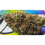 gusher thca achat thca, fleur thca , thca france , acheter thca , gushers thca , leaf gold thca