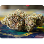 flower thca, boutique thca , avis thca , gary payton thca , leaf gold thca