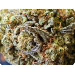 achat thca flower thca, boutique thca , avis thca , gary payton thca