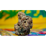 Sunset Sherbet THCA fleur premium californienne naturelle – Leaf Gold