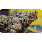 fleur THCA EXOTIC ULTRA AAAA Sunset Sherbet – trichomes visibles et arômes fruites