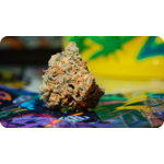 Black Bomb THCA USA – fleur américaine authentique disponible chez Leaf Gold