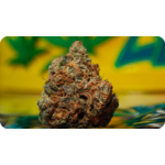 Fleur de THCA puissante – Black Bomb USA avec fort taux de tétrahydrocannabinolique