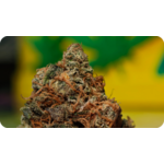 Acheter Black Bomb THCA USA en ligne – variété rare chez Leaf Gold