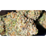 Red Velvet Runtz AAA+ THCA – Fleur Premium Made in USA