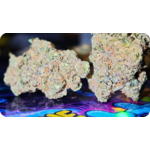 comprar-thca-espana-flores-hash-premium-europeo