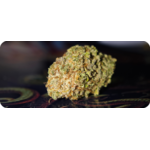 ACHAT THCA , THCA FRANCE , THCA EUROPE , THCA CALIFORNIE , THCA FLOWER , THCA FLEUR , THCA LEGAL leaf gold
