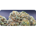 thca ACHAT THCA , THCA FRANCE , THCA EUROPE , THCA CALIFORNIE , THCA FLOWER , THCA FLEUR , THCA LEGAL