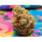 californie thca tropicana thca france , leaf gold