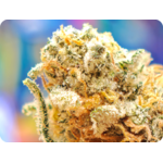 trichomes tropicana thca