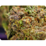 gumbo thca flower achat thca france