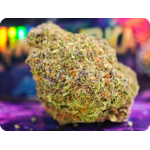 gumbo thca flower achat thca france (2)