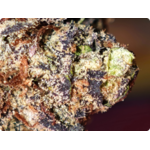 trichome zoom thca