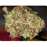 shop thca blueberry muffin thca