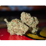 blueberry muffin thca