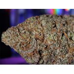 runtz usa cbd leaf gold