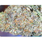 buteer gelato cbd usa