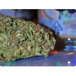 cbd usa gelato