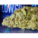 charlotte anegles cbd usa