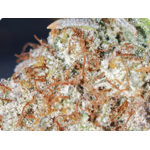 leaf gold thca france , achat thca , thca france , shop thca , thca flower , mac  thca miracle alien cookie thca