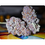 achat thca- thca france - thca europe - black cherry thca - leaf gold thca - thca naturel