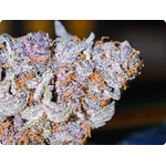black cherry thca achat thca- thca france - thca europe - black cherry thca - leaf gold thca