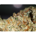 achat thca acheter thca achat thca - thca france - thca europe - oreoz thca - leaf gold thca
