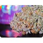 acha thca shop thca france comprar thca thc aitalia thca spain thca europe thca leaf gold